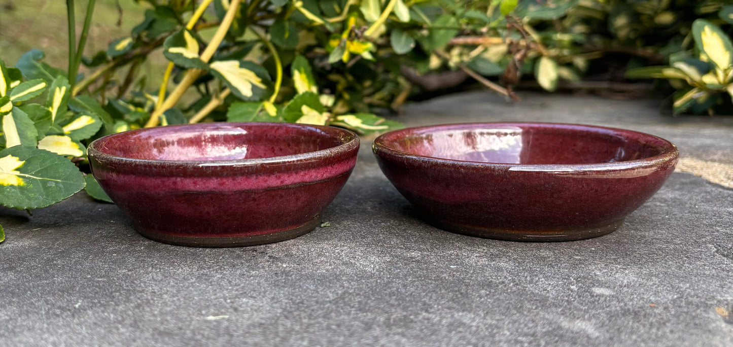 Tiny Red Bowl