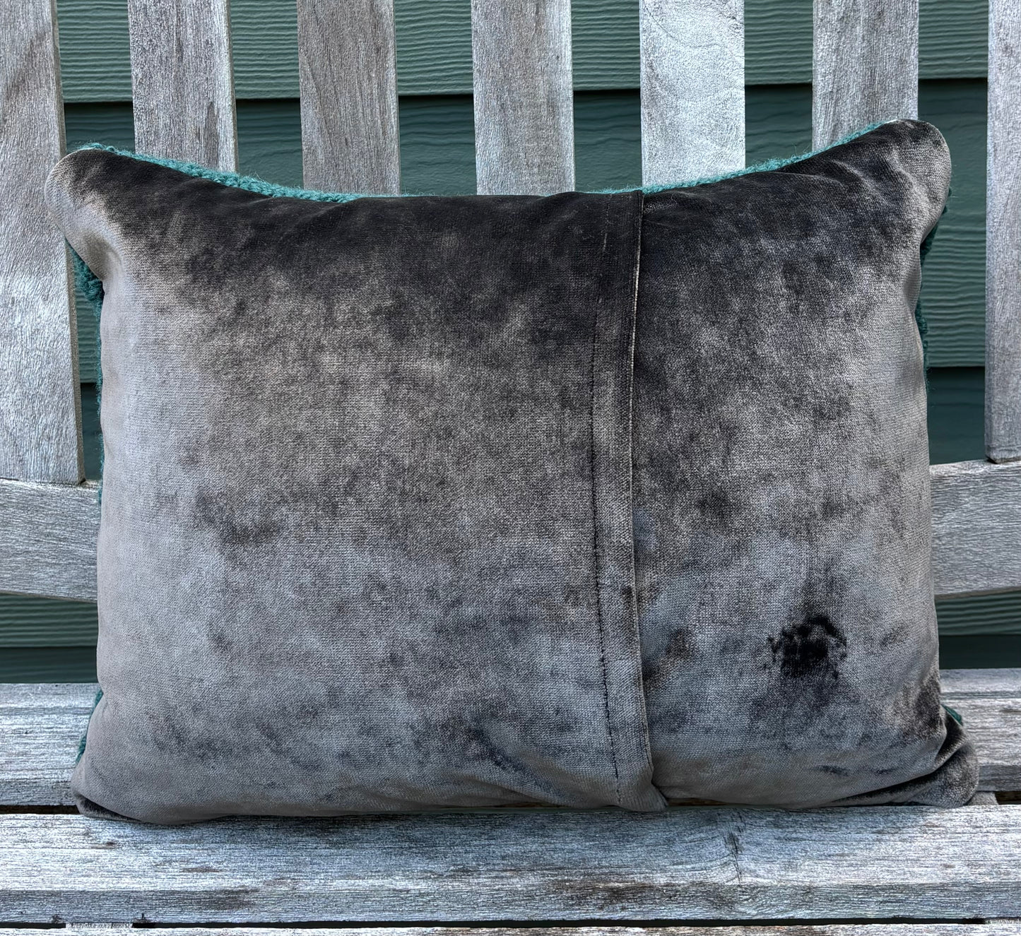 Tufted Clymene Moth Pillow