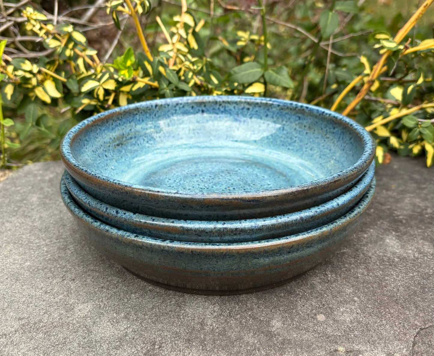 Blue Plate Bowl