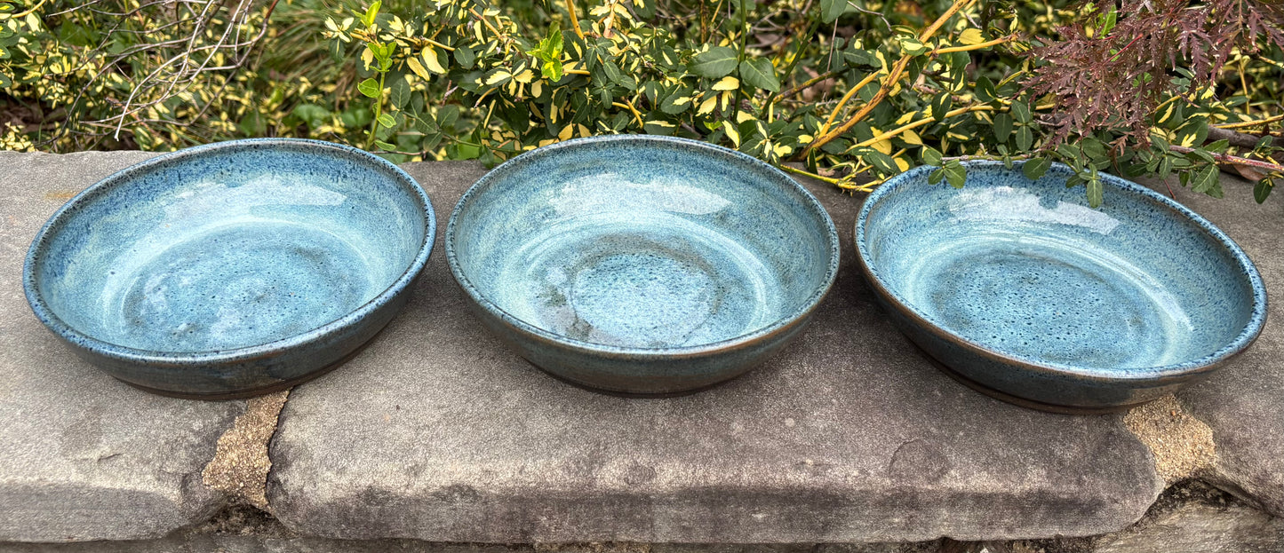 Blue Plate Bowl