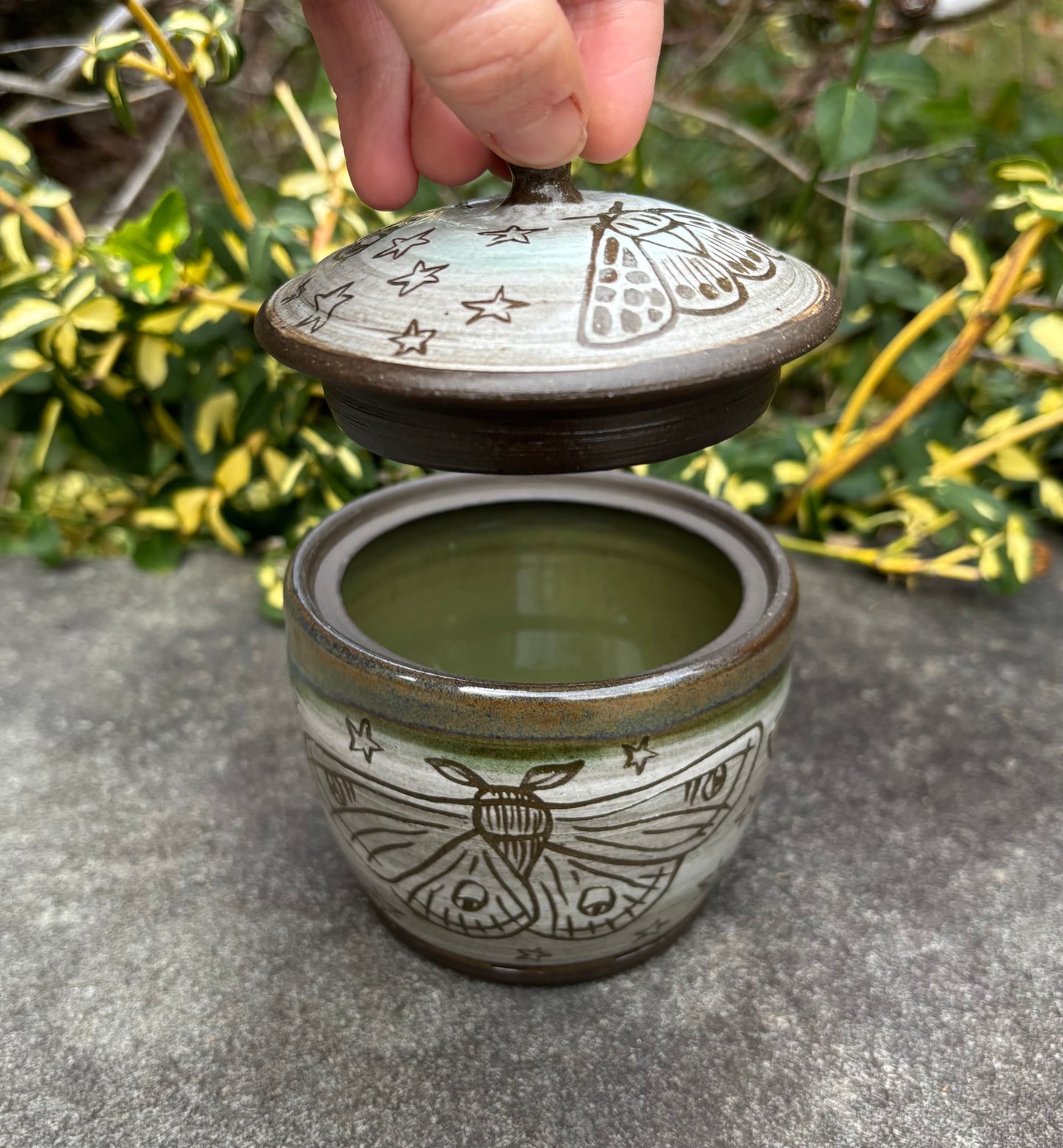 Carved Moth Jar