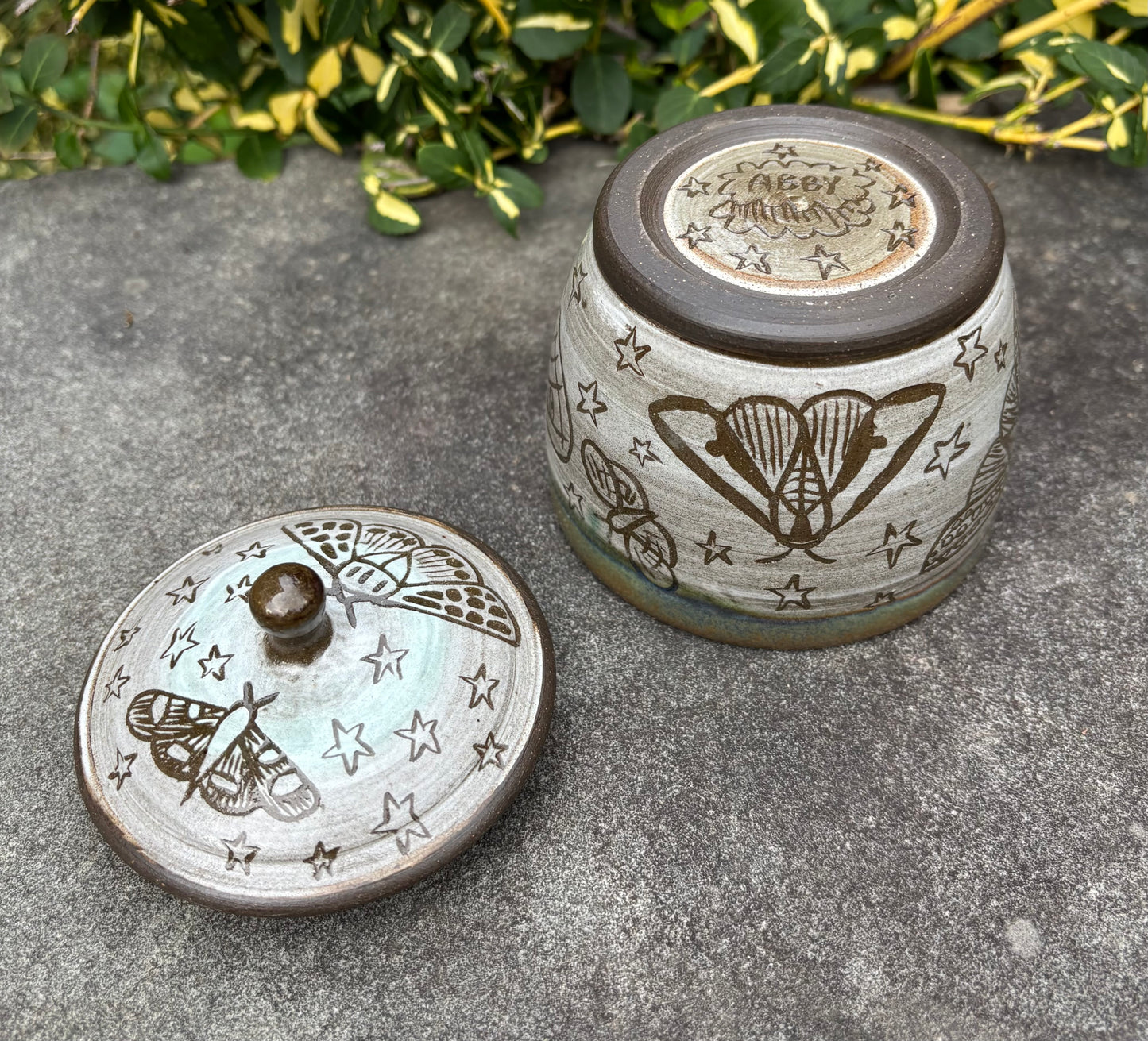 Carved Moth Jar