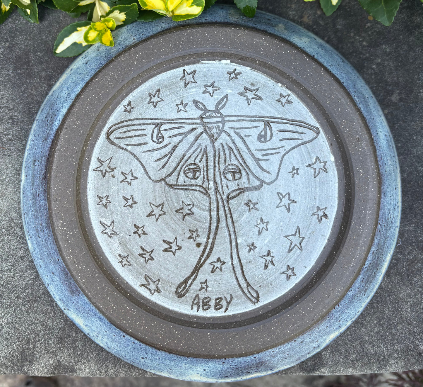 Light Blue Plate Bowl