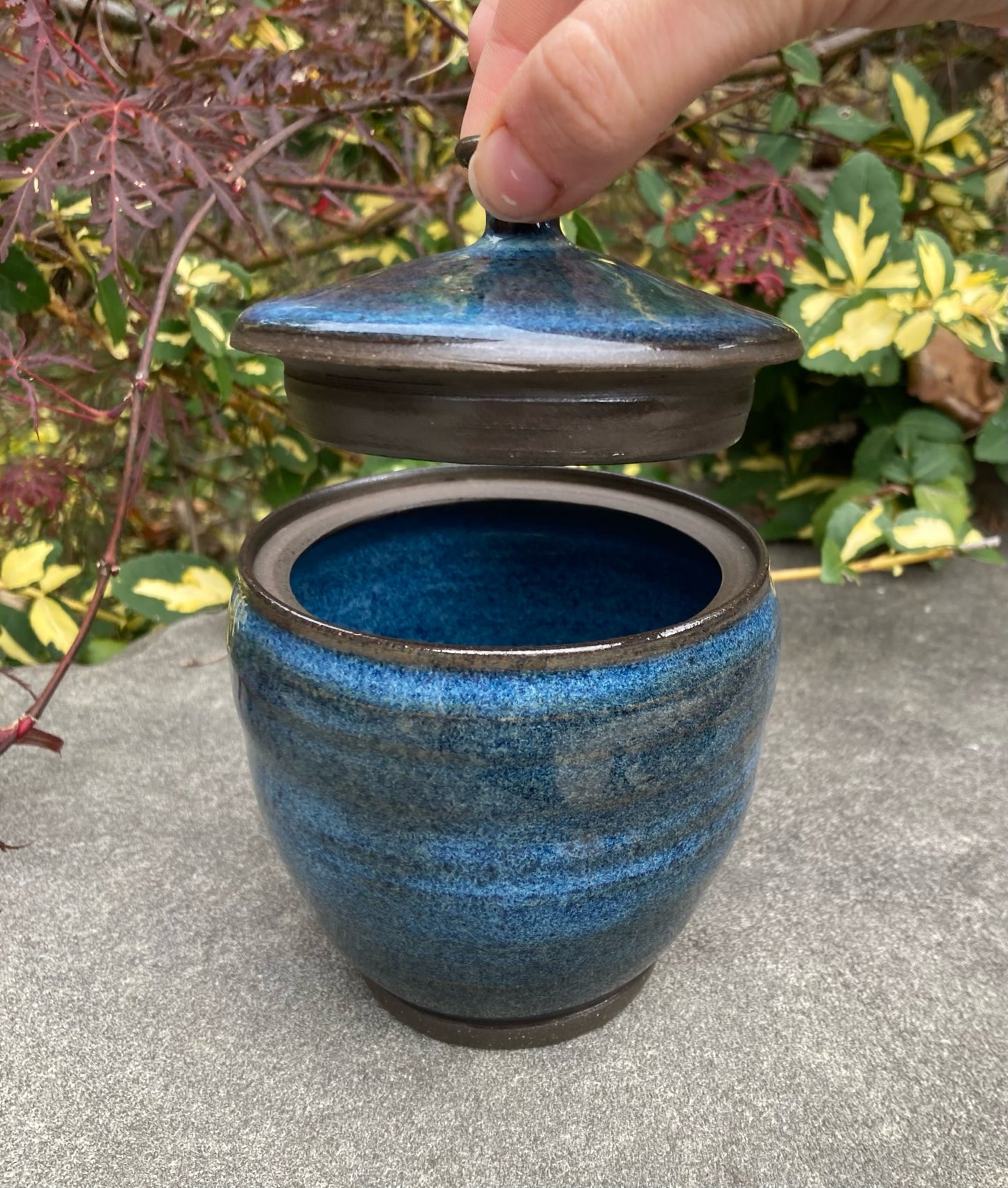 Blue Jar