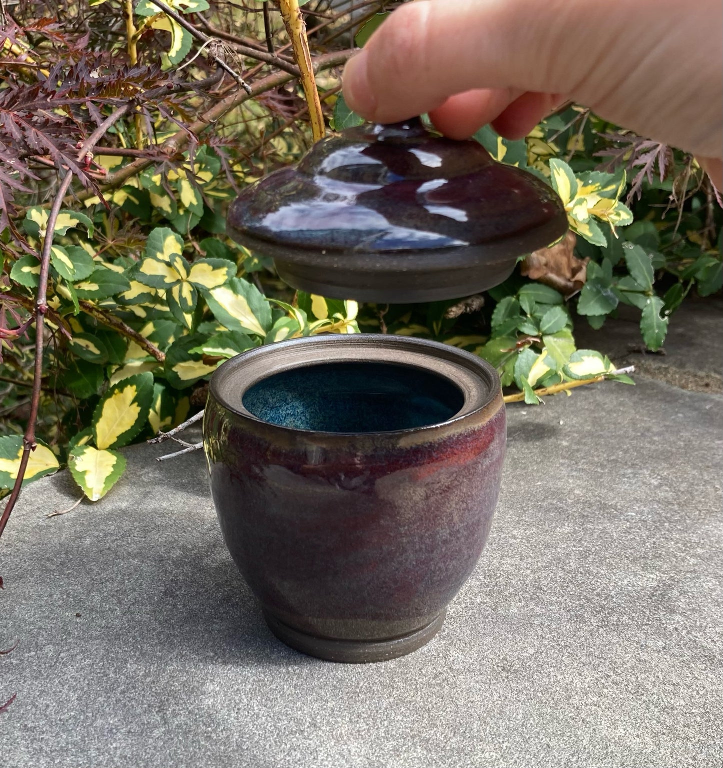 Purple Maroon Jar