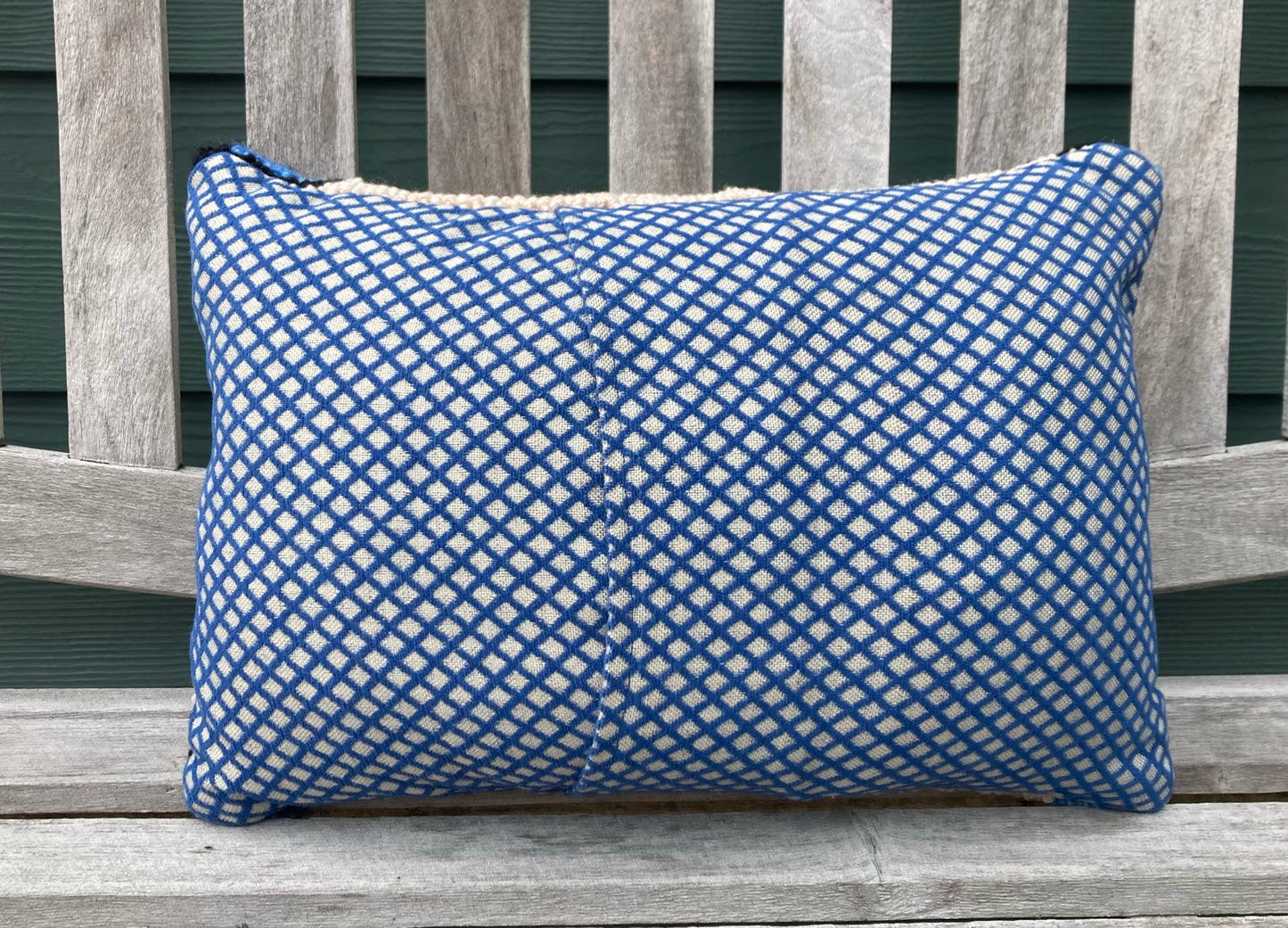 Tufted Mexican Bluewing Butterfly Pillow