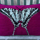 Tufted Zebra Swallowtail Butterfly Pillow