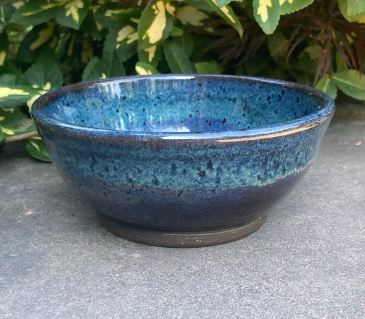 Small Blue Speckle Bowl