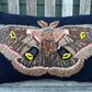 Tufted Polyphemus Moth Pillow