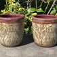 Red Handleless Carved Click Beetle Cup 9oz