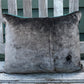 Tufted Clymene Moth Pillow