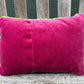 Tufted Yellow Bess Beetle Pillow