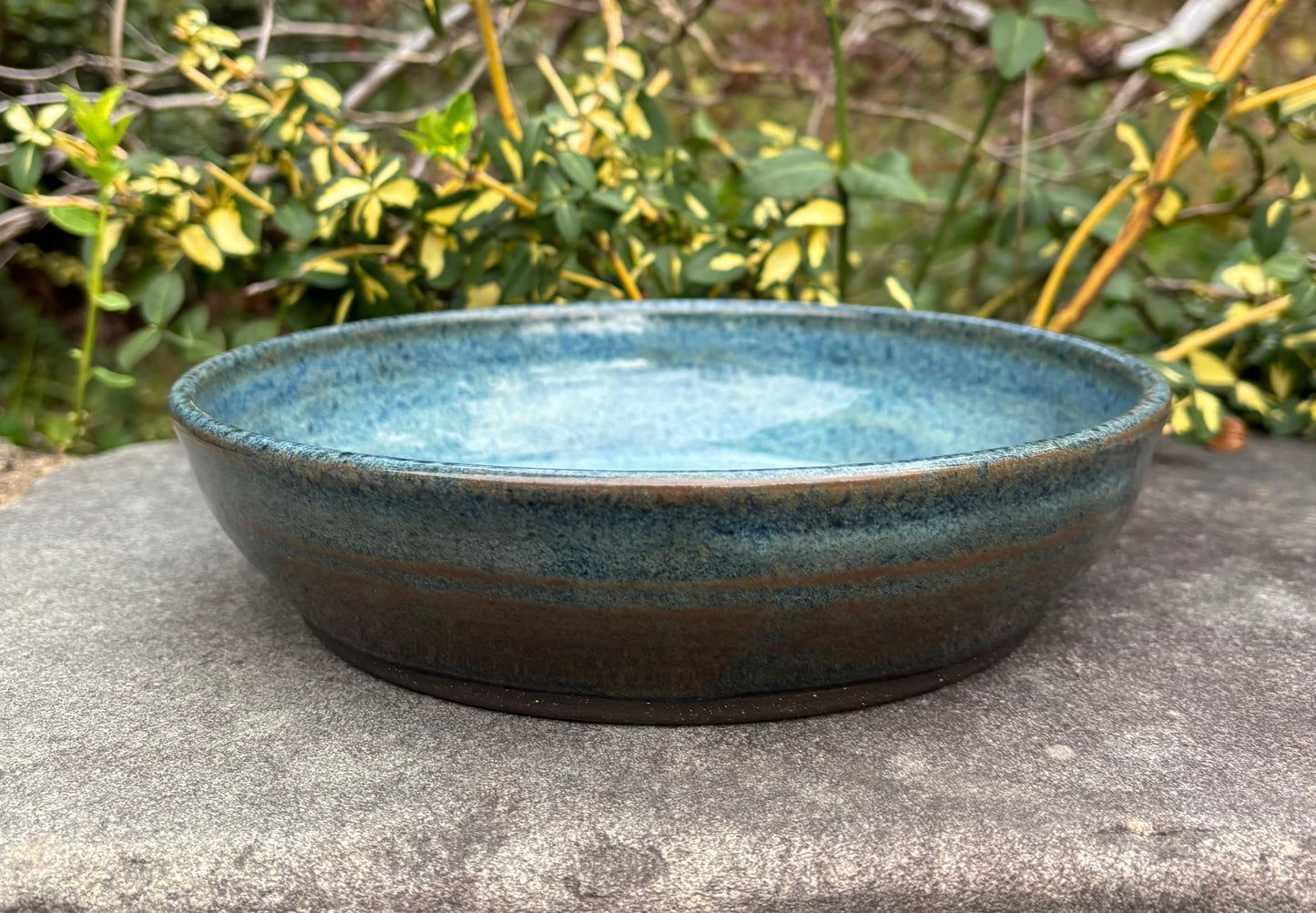 Blue Plate Bowl