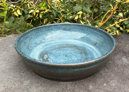 Blue Plate Bowl
