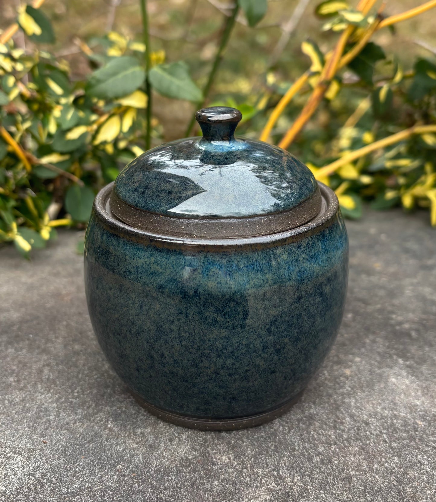 Dark Blue and Brown Jar
