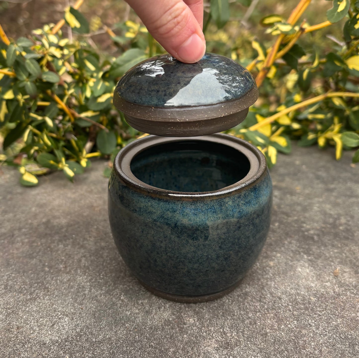 Dark Blue and Brown Jar