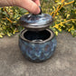 Blue Spotted Jar