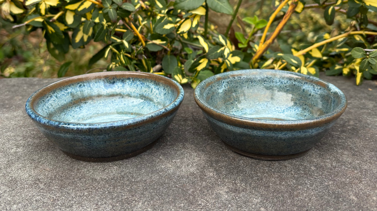 Small Blue and Brown Bowl