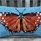 Tufted Queen Butterfly Pillow
