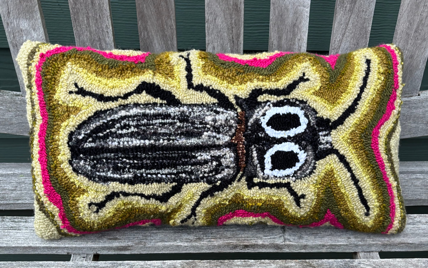 Tufted Green and Pink Click Beetle Beetle