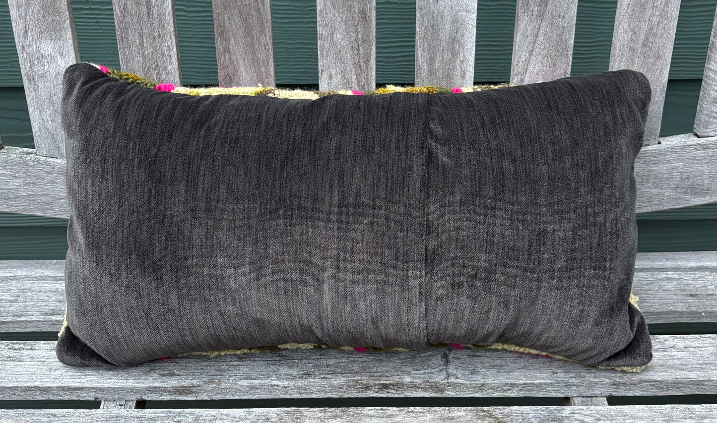 Tufted Green and Pink Click Beetle Beetle