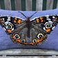 Tufted Buckeye Butterfly Pillow