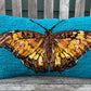 Tufted Malay Cruiser Butterfly Pillow