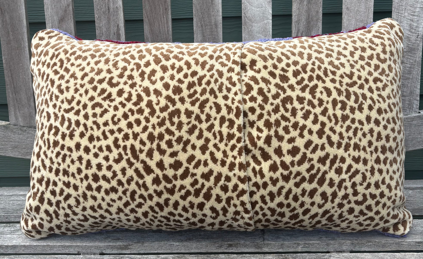 Tufted Cercropia Moth Pillow