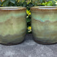 Green Mug 13oz