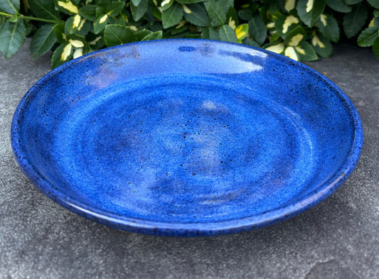 Dark Blue Plate Bowl