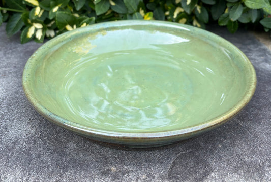 Green Plate Bowl