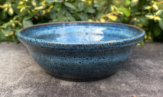 Medium Blue and Brown Bowl