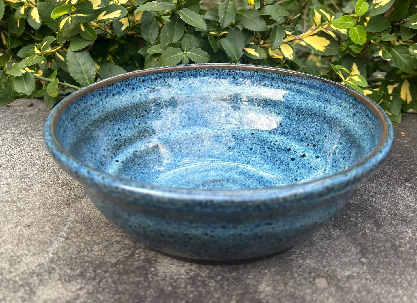 Medium Blue and Brown Bowl